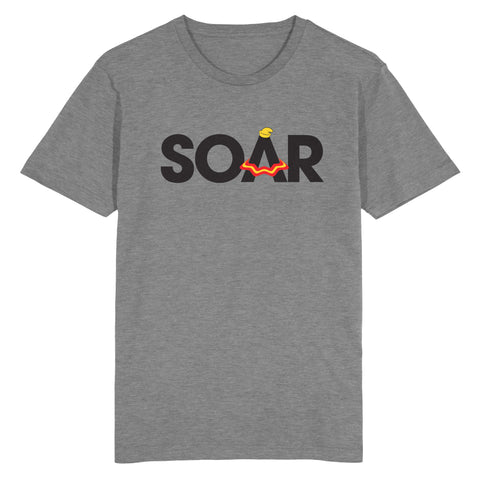 Soar